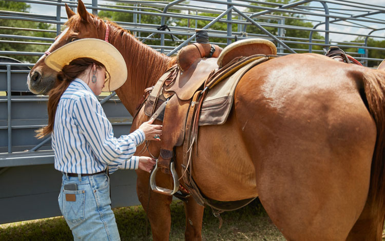 A woman saddling a horse that is tied to the trailer.